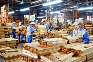 Xuất khẩu gỗ đã tăng trưởng nhưng vẫn đối mặt với nhiều rủi ro